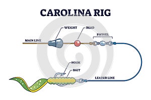 Carolina rig and fishing bait method for bass fish catching outline diagram