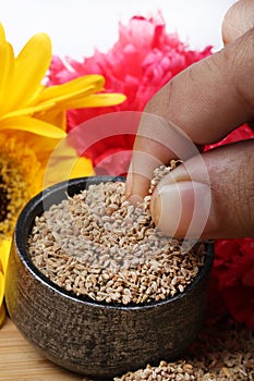 Carom seeds