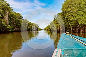 Caroni river boat ride through dense mangroves reflection nature Trinidad and Tobago