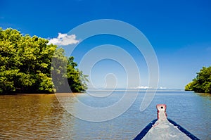 Caroni River mouth boat ride open sea through mangroves photo