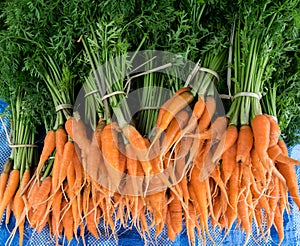 Carot in the market fresh and organic vegetable