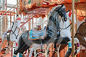 Carousel closeup