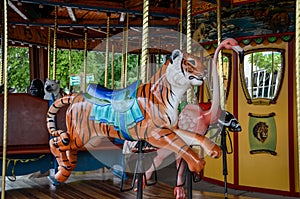 Carousel Designs