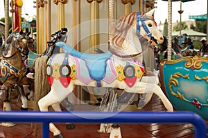 Carousel from entertainment park