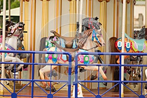 Carousel from entertainment park