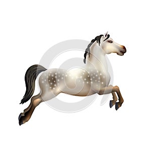 Carousel Horse Isolated