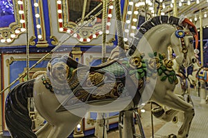 Carousel Horse on a Merry-Go-Round