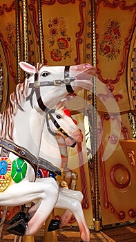 Carousel horse themepark carnaval white horse