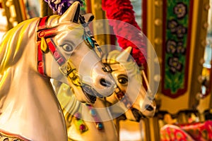 Carousel Horses