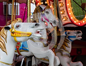 Carousel Horses at the Fair