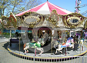 Carousel Merry Go Round