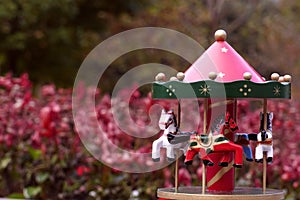 Carousel in the park