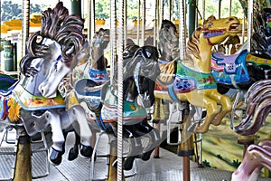 Carousel Theme Park