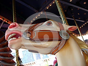 Caroussel horse head