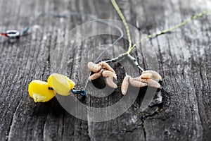 Carp bait. Corn and oparod on the hook. Baiting fish on fishing. Close-up, selective focus
