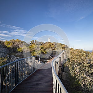 Carp Bay in Freycinet National Park