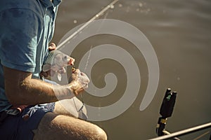 Carp, crucian carp, trout on fishhook, angling