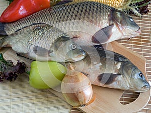 Carp fish