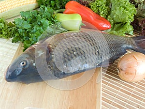 Carp fish