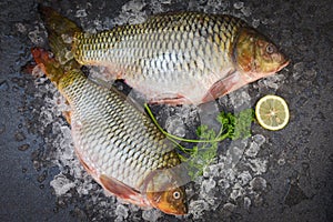 Carp fish, Fresh raw fish on ice for cooked food with parsley lemon and dark background, common carp freshwater fish market