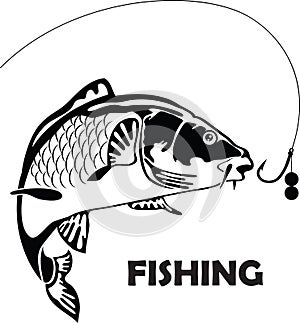 Carp fish, illustration photo