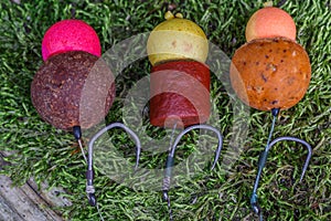 Carp fishing chod rig.The Source Boilies with fishing hook. Fishing rig for carps,Carp boilies, corn, tiger nuts and hemp.Carp