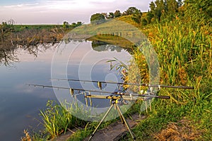 Carp fishing concept. Rods on rod pod at green coast of small river