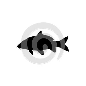 Carp fishing, fish logo