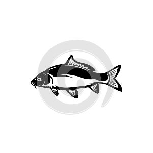 Carp fishing, fish logo