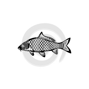 Carp fishing, fish logo