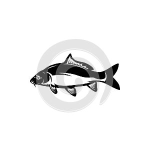 Carp fishing, fish logo