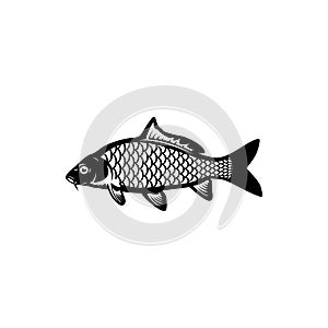 Carp fishing, fish logo