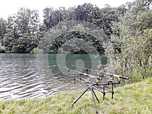 Carp fishing on the lake in the afternoon. Fishing rods on a stand by the lake.