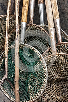 carp fishing nets, carp landing net, autumn, fishing