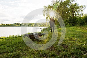 Carp fishing session at the Lake.Carp Angling scenic landscape overlooking lake at Dawn