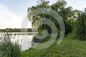 Carp fishing session at the Lake.Carp Angling scenic landscape overlooking lake at Dawn