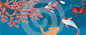 Carp Koi traditional sacred Japanese fish horizontal vector Illustration, design element for banner, poster