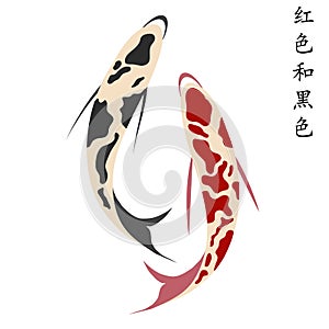 Carp, set of koi carps, red and black fish