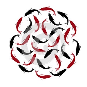 Carp, set of koi carps, red and black fish. Hand drawn circle of fishes.
