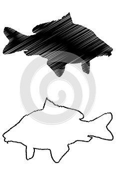 Carp silhouette vector