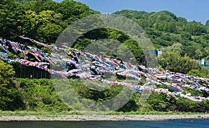 Carp streamer above the river