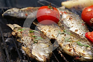 Carp with thyme