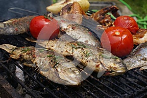 Carp with thyme