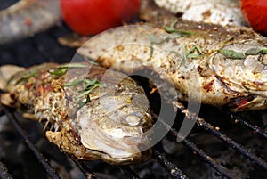 Carp with thyme