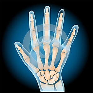 Carpal bones. x-ray blue realistic palm on dark background photo