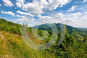 Carpathian countryside landscape at high noon