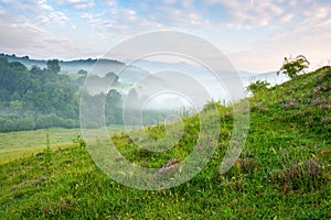 carpathian countryside scenery on a foggy morning