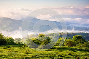 carpathian countryside scenery on a foggy morning