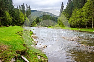 carpathian countryside scenery with river on a cloudy day in spring