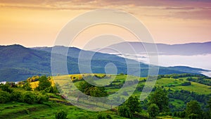 carpathian countryside scenery on a sunny morning in summer